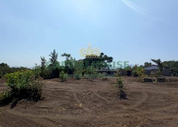 Foto 2 - Terreno agricolo via Recupe, Ottaviano - foto 2