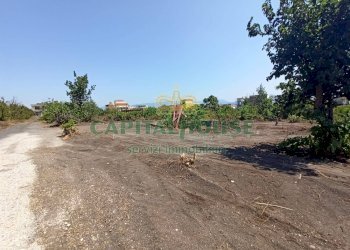 Foto 4 - Terreno agricolo via Recupe, Ottaviano - foto 4