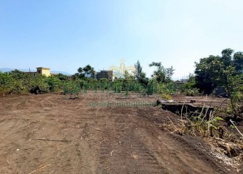 Foto 5 - Terreno agricolo via Recupe, Ottaviano - foto 5