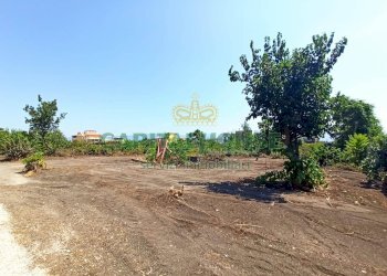 Foto 6 - Terreno agricolo via Recupe, Ottaviano - foto 6