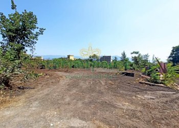 Foto 8 - Terreno agricolo via Recupe, Ottaviano - foto 8