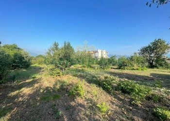 Foto 9 - Terreno agricolo via Recupe, Ottaviano - foto 9