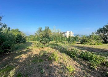 Foto 10 - Terreno agricolo via Recupe, Ottaviano - foto 10