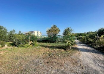 Foto 12 - Terreno agricolo via Recupe, Ottaviano - foto 12