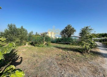 Foto 14 - Terreno agricolo via Recupe, Ottaviano - foto 14