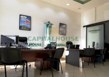 Foto 16 - Terreno agricolo via Recupe, Ottaviano - foto 16