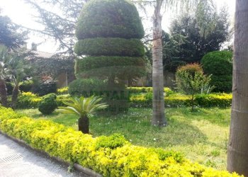 Foto 9 - Villa strada provinciale pianillo, Striano - foto 9