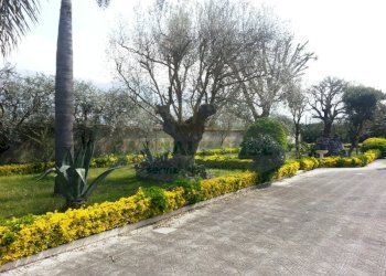 Foto 12 - Villa strada provinciale pianillo, Striano - foto 12