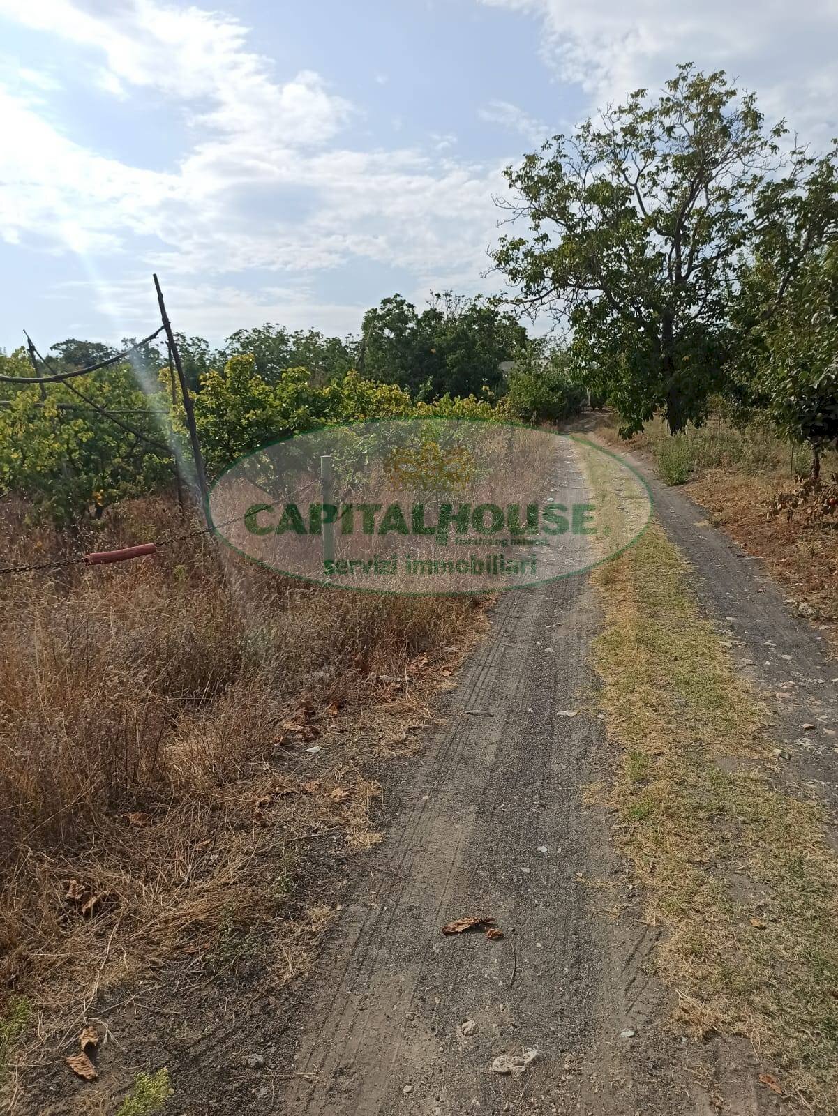 Foto 3 - Terreno agricolo Località Bosco, Somma Vesuviana - foto 3