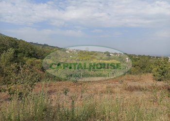 Foto 1 - Terreno agricolo Località Bosco, Somma Vesuviana - foto 1