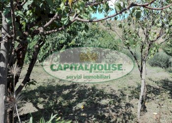 Foto 5 - Terreno agricolo Località Bosco, Somma Vesuviana - foto 5