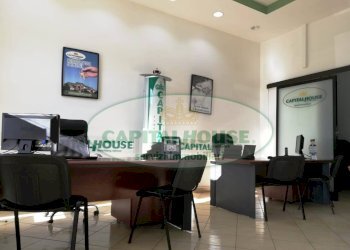 Foto 10 - Terreno agricolo Località Bosco, Somma Vesuviana - foto 10