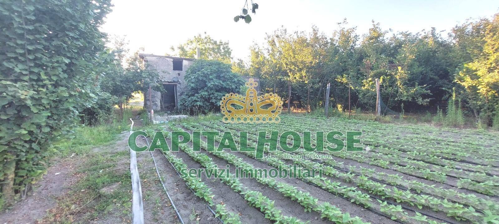 Foto 3 - Terreno agricolo VIA ROMA, Ottaviano - foto 3