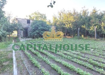 Foto 3 - Terreno agricolo VIA ROMA, Ottaviano - foto 3