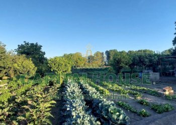 Foto 7 - Terreno agricolo VIA ROMA, Ottaviano - foto 7