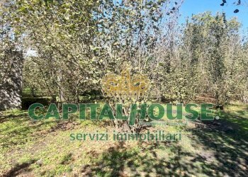 Foto 10 - Terreno agricolo VIA ROMA, Ottaviano - foto 10