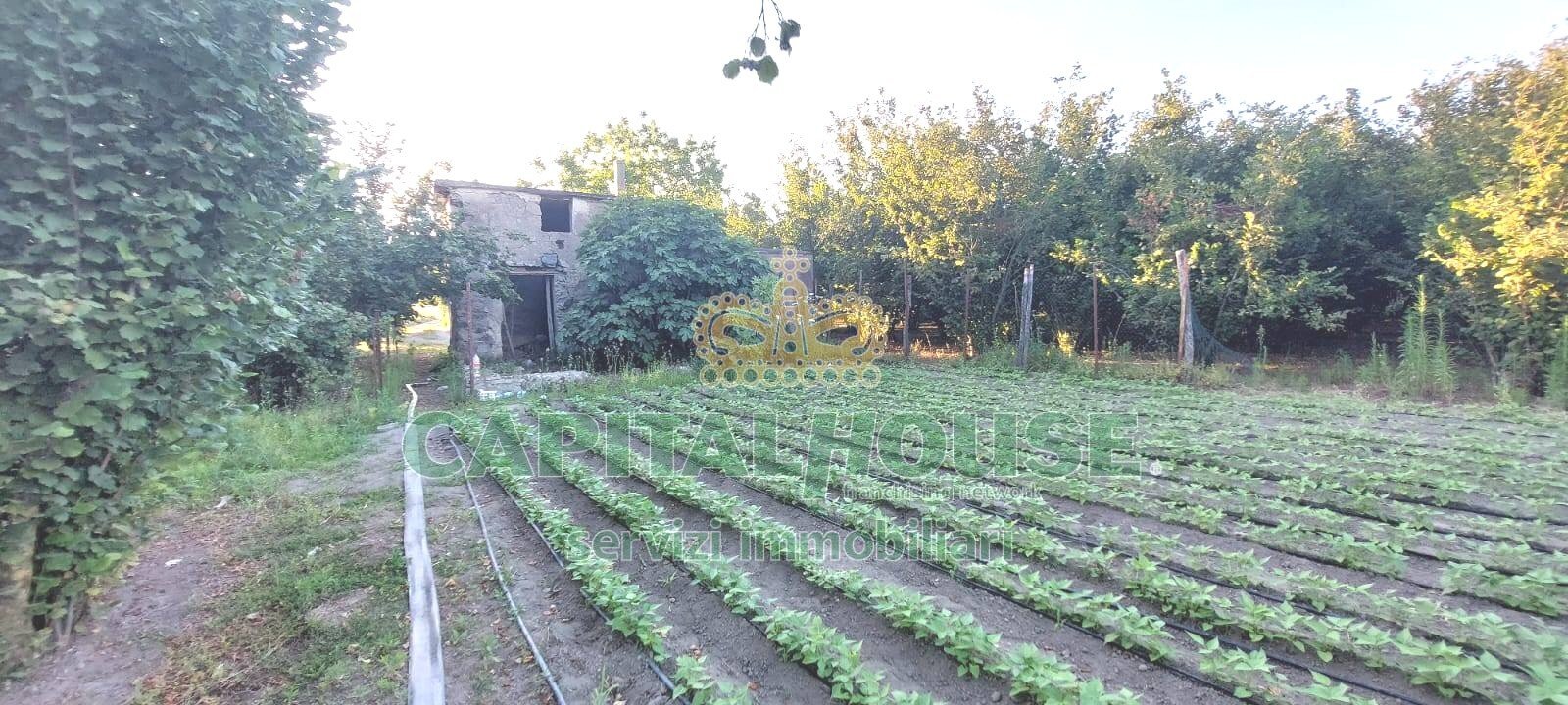 Foto 3 - Rustic via rivolta, Striano - photo 3