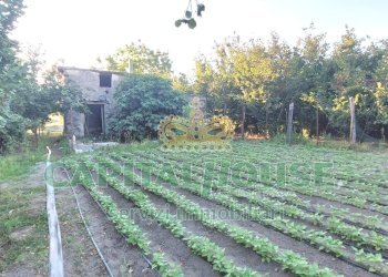 Foto 6 - Rustico via rivolta, Striano - foto 6