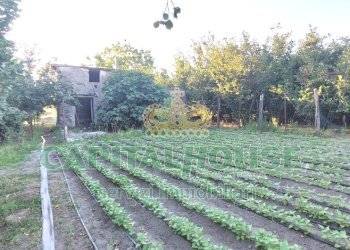 Foto 7 - Rustico via rivolta, Striano - foto 7