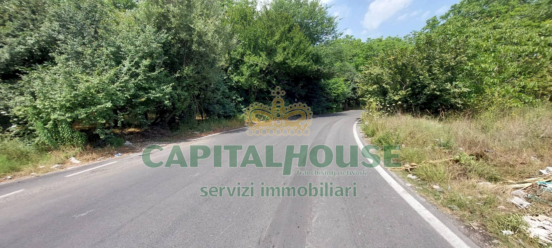 Foto 2 - Terreno agricolo via ciccarelli, San Gennaro Vesuviano - foto 2