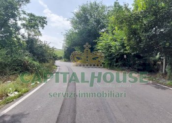 Foto 7 - Terreno agricolo via ciccarelli, San Gennaro Vesuviano - foto 7