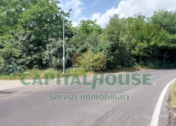 Foto 8 - Terreno agricolo via ciccarelli, San Gennaro Vesuviano - foto 8