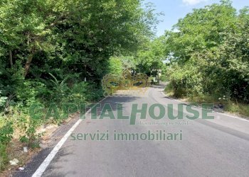 Foto 9 - Terreno agricolo via ciccarelli, San Gennaro Vesuviano - foto 9