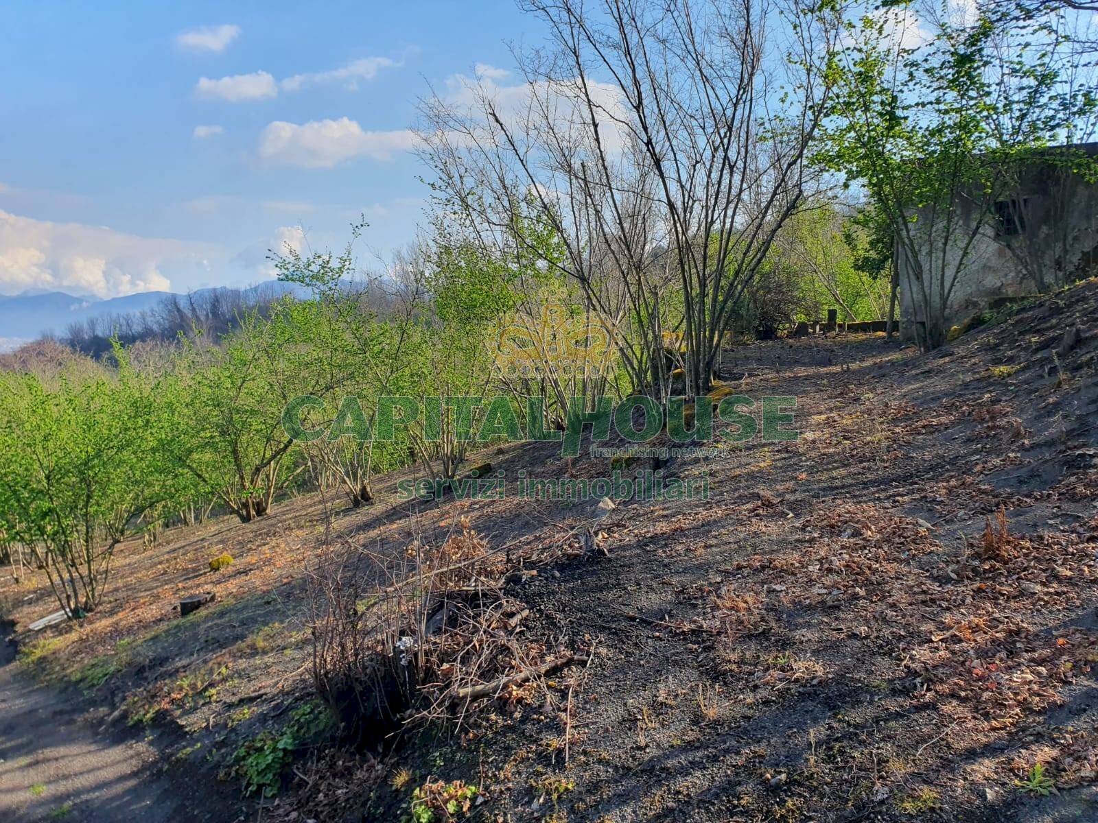 Foto 2 - Terreno agricolo via zabatta, Ottaviano - foto 2