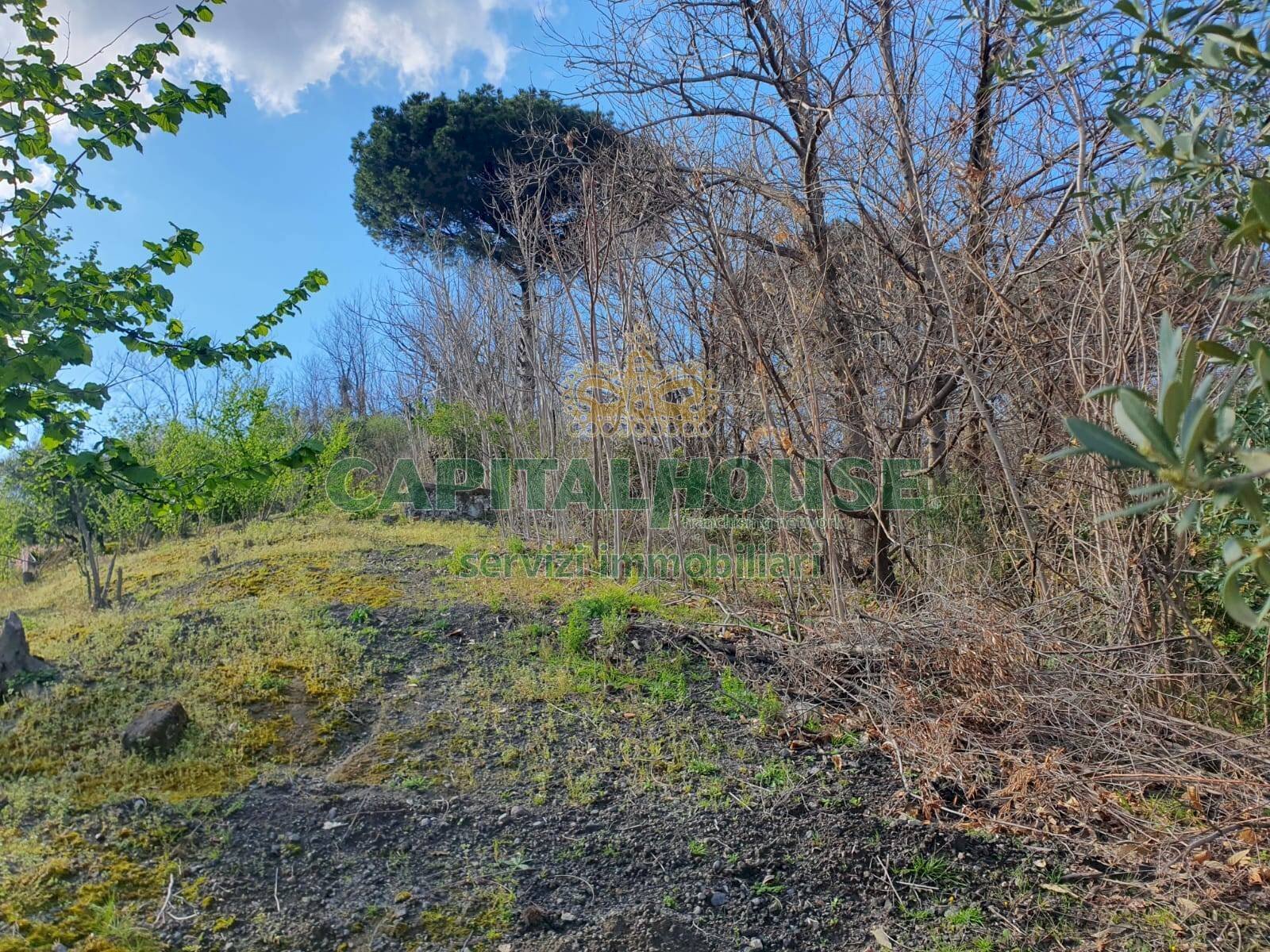 Foto 3 - Terreno agricolo via zabatta, Ottaviano - foto 3