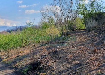 Foto 2 - Terreno agricolo via zabatta, Ottaviano - foto 2