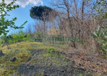 Foto 3 - Terreno agricolo via zabatta, Ottaviano - foto 3