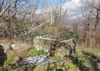 Foto 4 - Terreno agricolo via zabatta, Ottaviano - foto 4