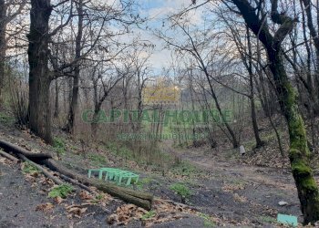 Foto 5 - Terreno agricolo via zabatta, Ottaviano - foto 5