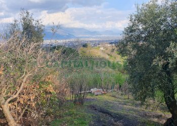 Foto 7 - Terreno agricolo via zabatta, Ottaviano - foto 7