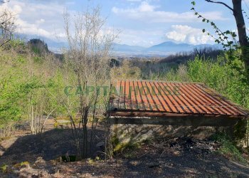 Foto 9 - Terreno agricolo via zabatta, Ottaviano - foto 9