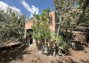 Foto 10 - Terreno agricolo via zabatta, Ottaviano - foto 10