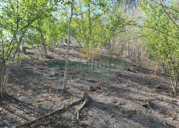 Foto 11 - Terreno agricolo via zabatta, Ottaviano - foto 11