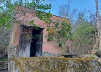 Foto 12 - Terreno agricolo via zabatta, Ottaviano - foto 12