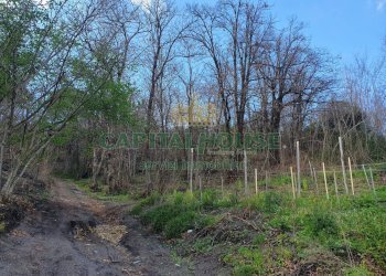 Foto 13 - Terreno agricolo via zabatta, Ottaviano - foto 13