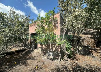 Foto 16 - Terreno agricolo via zabatta, Ottaviano - foto 16