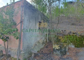 Foto 18 - Terreno agricolo via zabatta, Ottaviano - foto 18