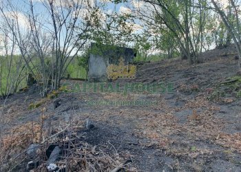 Foto 19 - Terreno agricolo via zabatta, Ottaviano - foto 19