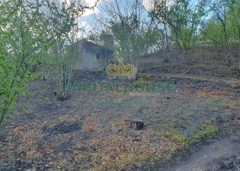 Foto 20 - Terreno agricolo via zabatta, Ottaviano - foto 20