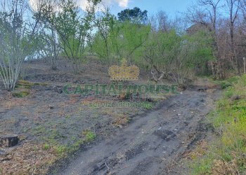 Foto 22 - Terreno agricolo via zabatta, Ottaviano - foto 22