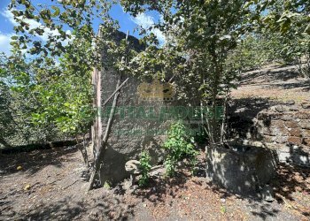 Foto 26 - Terreno agricolo via zabatta, Ottaviano - foto 26