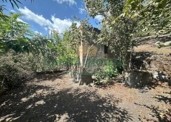 Foto 27 - Terreno agricolo via zabatta, Ottaviano - foto 27