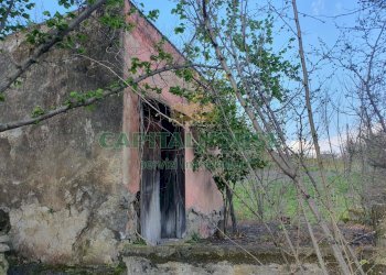 Foto 28 - Terreno agricolo via zabatta, Ottaviano - foto 28