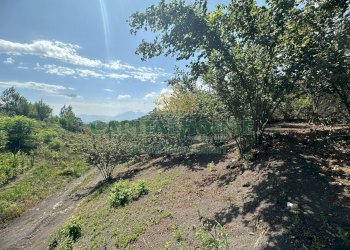 Foto 29 - Terreno agricolo via zabatta, Ottaviano - foto 29