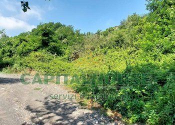 Foto 1 - Terreno agricolo via Scavolella, Ottaviano - foto 1