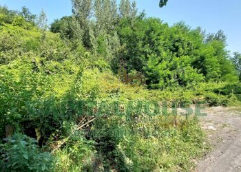 Foto 4 - Terreno agricolo via Scavolella, Ottaviano - foto 4